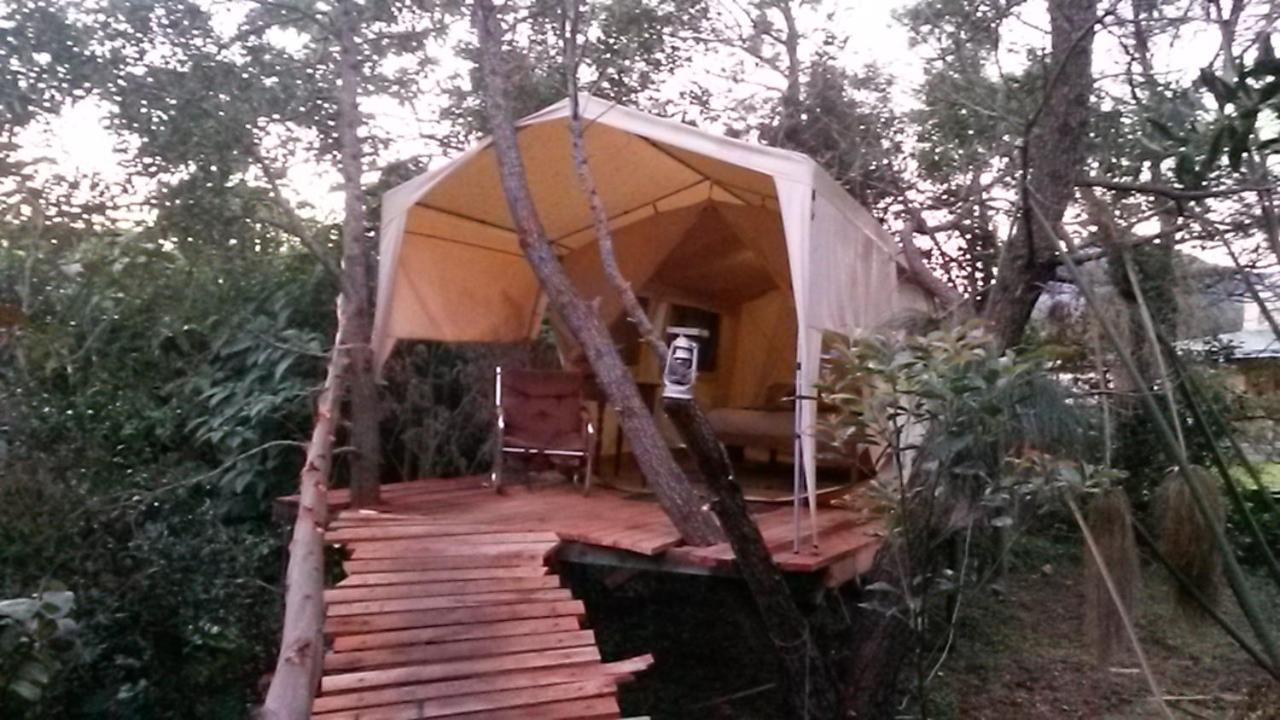 Dijembe Backpackers Lodge Stormsrivier Exterior photo